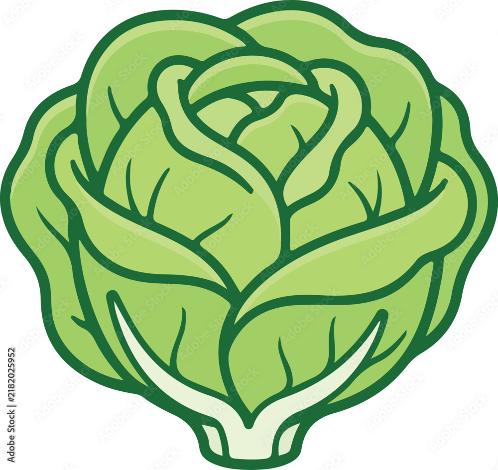 Obraz premium Fresh Green Cabbage Head Icon