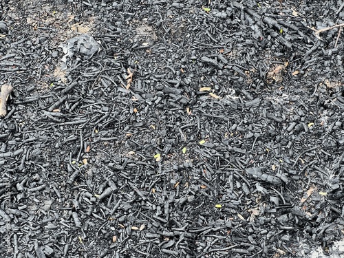 coal and ash on the ground
