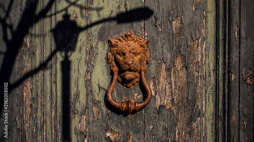 Rusty lion head door knocker on an old weathered wooden entry door
