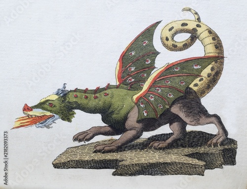 Dragon, hand-coloured copperplate engraving from Friedrich Justin Bertuch's picture book for children, Vienna 1801