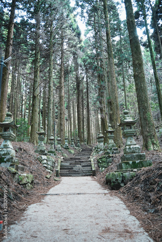 Stone Lanterns Along the Forest Path at Kamishikimi Kumanoimasu Shrine in Taketa, Kumamoto, Japan