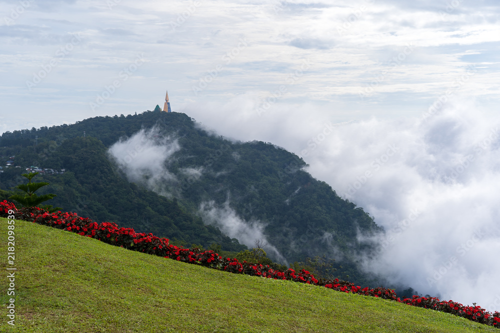 Obraz premium Landscape view of Phu Thap Boek with lawn garden red flower to nature green glass and Wat Pa Phu Thap Boek Temple pagoda background on high hill top mountain and fog mist with white clouds in Thailand