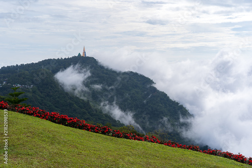 Landscape view of Phu Thap Boek with lawn garden red flower to nature green glass and Wat Pa Phu Thap Boek Temple pagoda background on high hill top mountain and fog mist with white clouds in Thailand