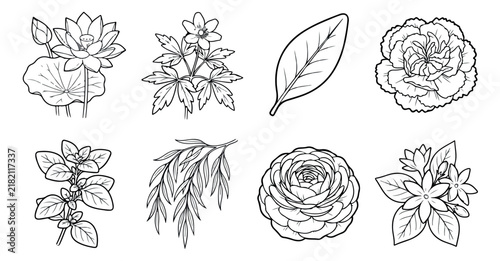Botanical line art collection, 8 floral vector illustrations, minimalist black and white flower sketches for wedding invitations and branding
