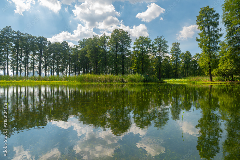 Fototapeta premium Summer Scenery of East Lake Scenic Area, Wuhan