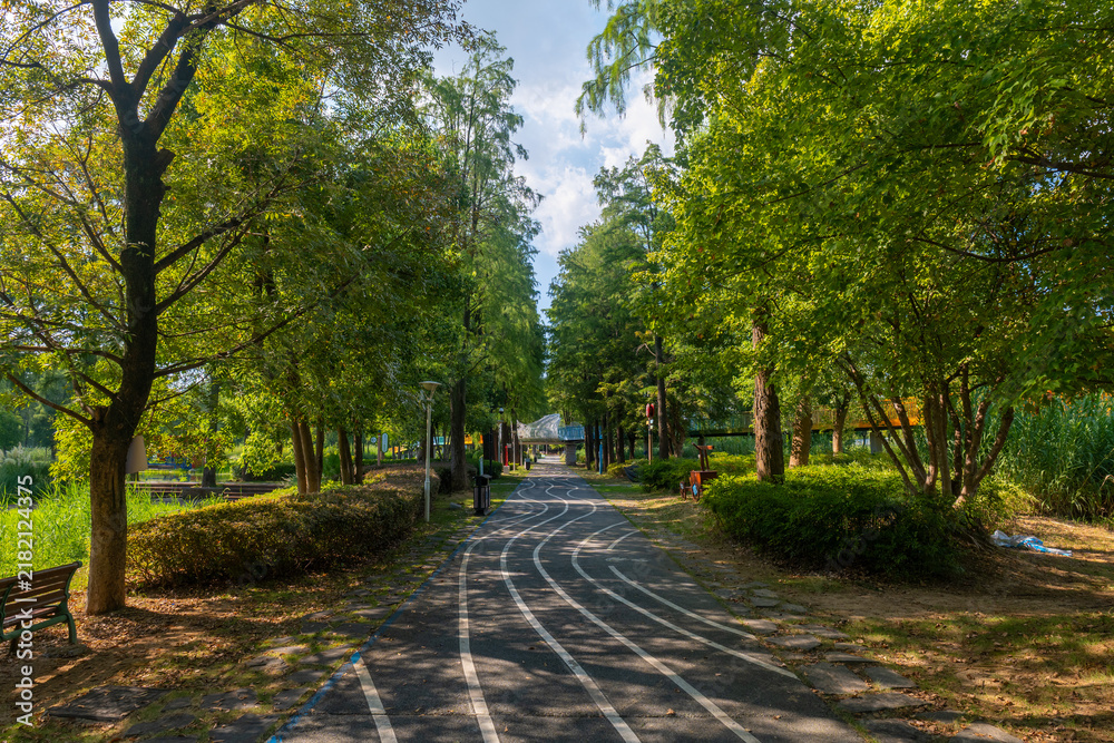 Obraz premium Summer Scenery of East Lake Scenic Area, Wuhan