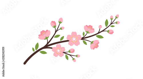 Delicate Pink Cherry Blossoms on a Branch, Spring Floral Illustration