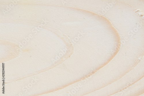 background texture nature wooden cut hardwood forest 