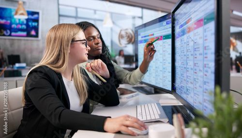 Fotografie Young Woman Manages Recruitment Tasks Using Computer Software