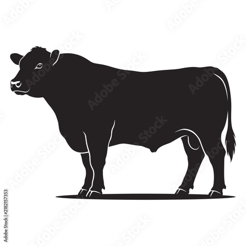 Black cow standing on flat ground silhouette