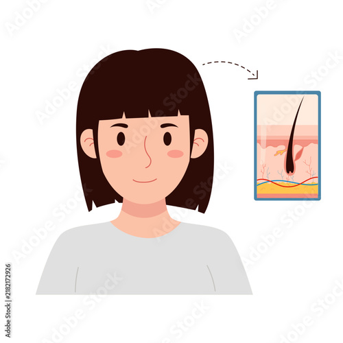 Straight Hair Anatomy Illustration