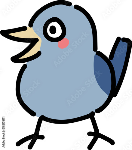 Foto Blue Jay, bird, animal, blue, zoo