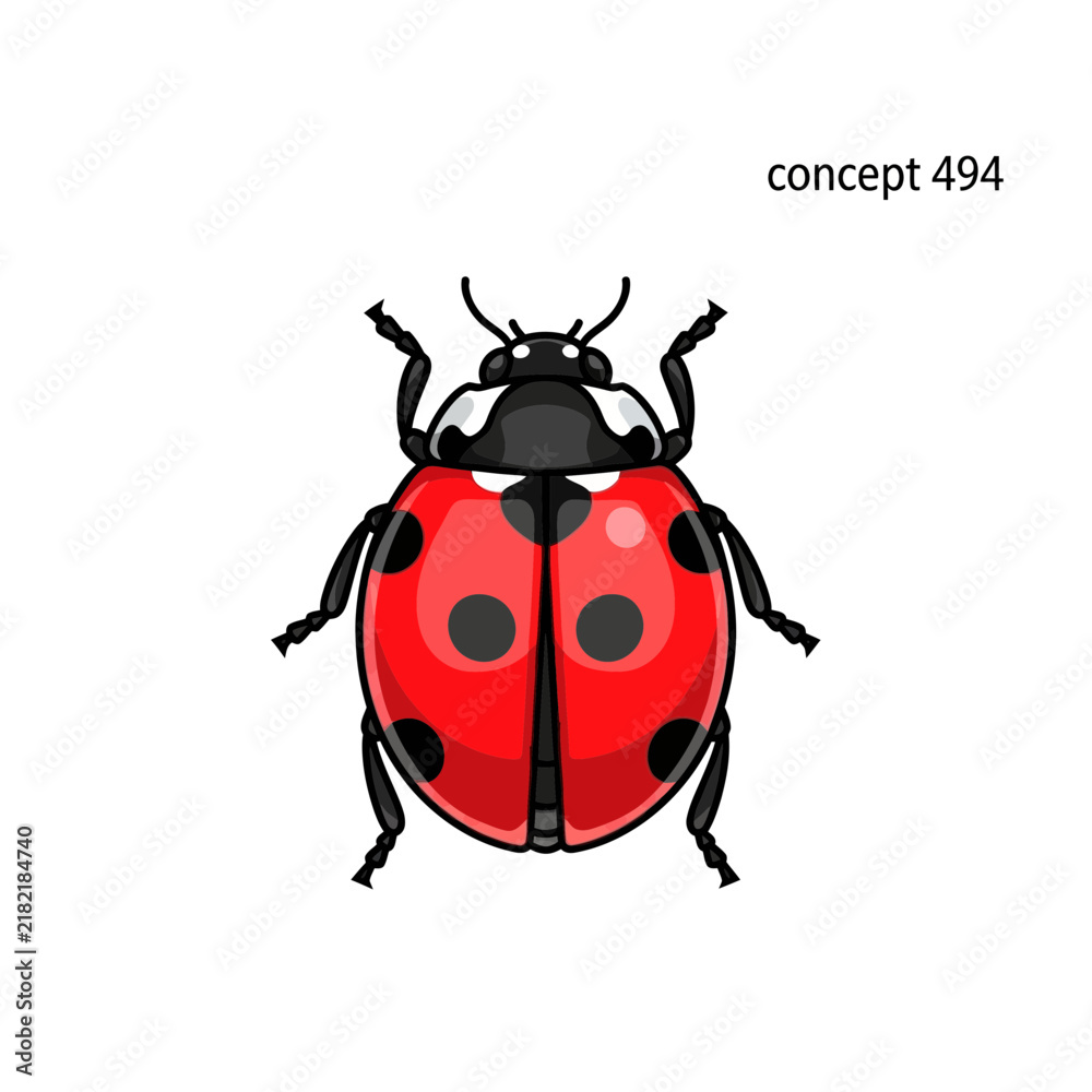 Fototapeta premium Cute Ladybug Isolated on Transparent Background - Vector Illustration