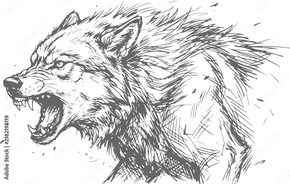 Fototapeta premium Snarling Wolf Sketch Drawing - Aggressive Wild Animal Portrait Ink Illustration On transparent background