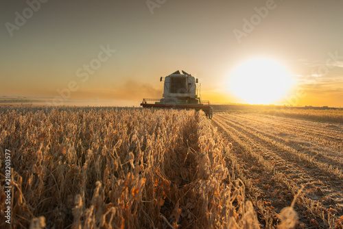   Kombine harvester that is harvesting soybeans