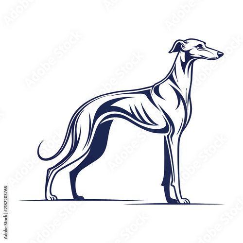 Принти на полотні Sleek greyhound dog illustration, graceful sighthound breed standing elegantly vector