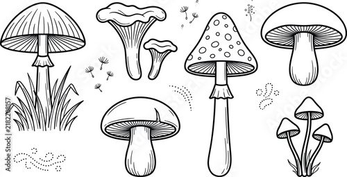Vector illustration set of hand drawn mushroom outlines including amanita chanterelle and forest fungi on a white background