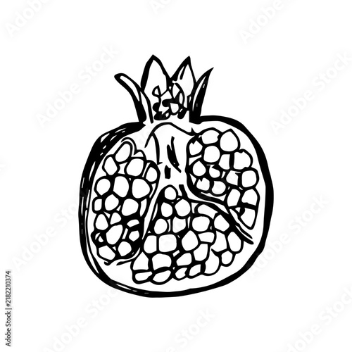 Картината върху платно Isolated vector garnet half on white background