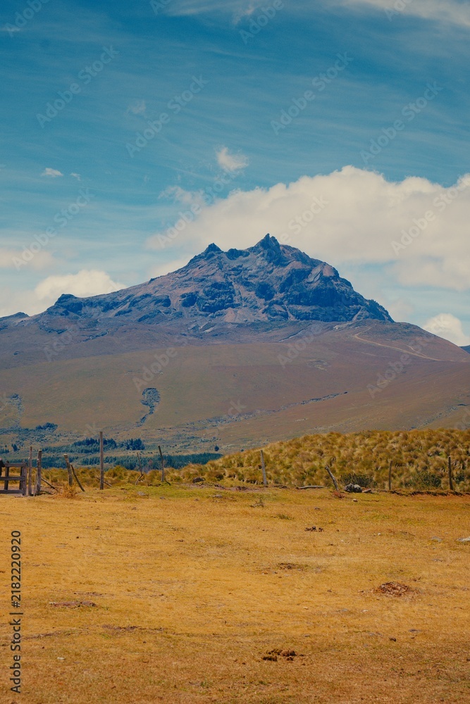 Fototapeta premium Cotopaxi volcano peak over golden grassy field in Ecuador