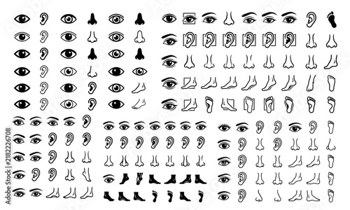 Collection of human body parts including eyes ears noses and feet illustrated in a simple black and white style