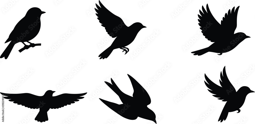 Fototapeta premium Elegant black bird silhouettes in various flight positions and perched on branch isolated on white background
