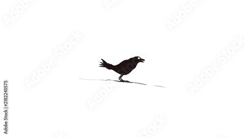 The bird first shakes its head, then chirps or moves its beak.
