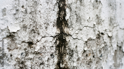 Cracked White Wall with Dark Stains and Weathering