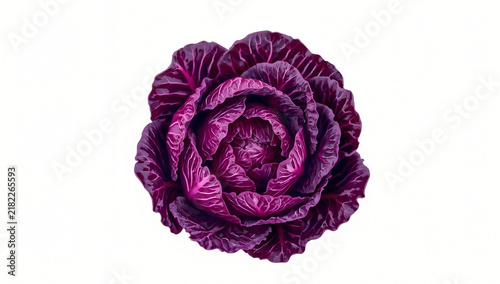 Fresh whole red cabbage isolated on white background for healthy food and cooking concepts