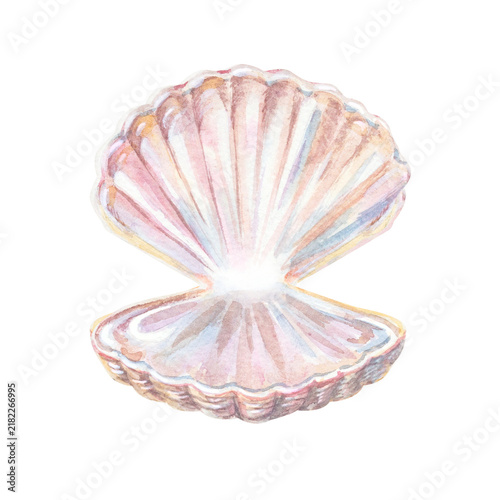 Open iridescent pearl seashell with mother nacre luster. Hand drawn watercolor illustration isolated on. Realistic pink scallop shell art element for marine design and summer craft