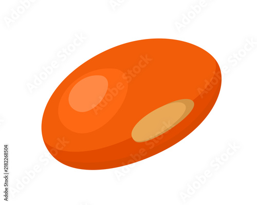 Single red lentil seed, isolated vector illustration.