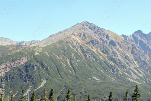 Konstfotografi Rocky peak of Żółta Turnia mountain rising behind spruce trees, Tatra Mountains