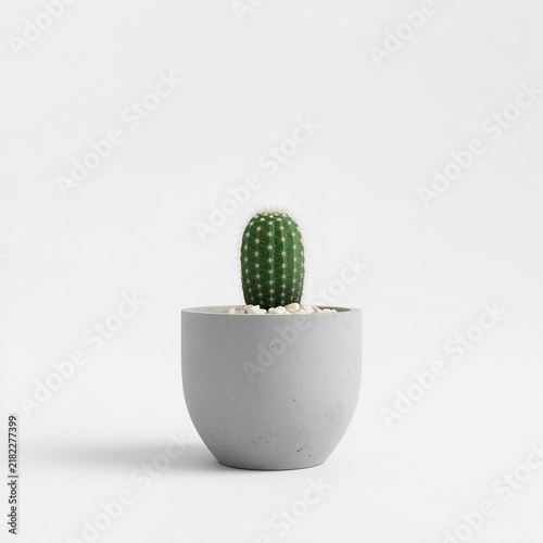 3D minimalist tiny cactus in pot isolated
