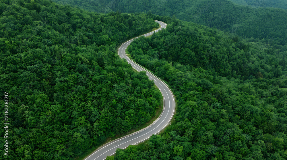 Fototapeta premium Aerial view of a winding asphalt road through a lush green forest