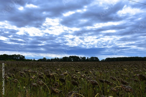 landscape photographed in rainy day - scenic dark blue sky with clouds 