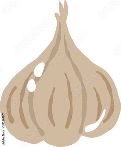 cute garlic onion vegetable vector cartoon illustration