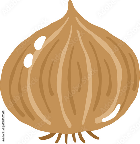 yellow onion vegetable food cartoon vector illustration