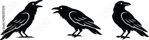 Vector Illustration of Crows and Ravens Calling and Perched