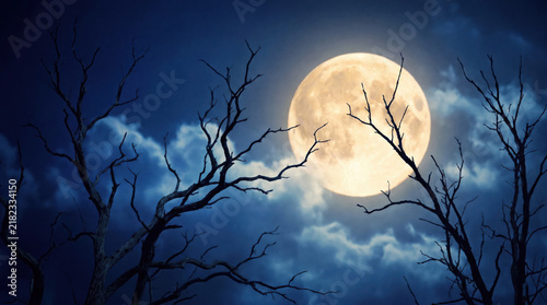 Spooky Halloween full moon night background with bare tree branches against a dark blue cloudy sky for horror design concepts