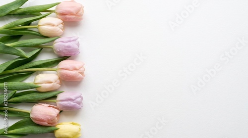 Pastel tulips decorating a clean white background with copy space for Mother's Day or spring greetings