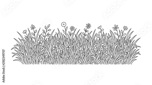 Vector line art illustration of wild meadow grass and blooming flowers border