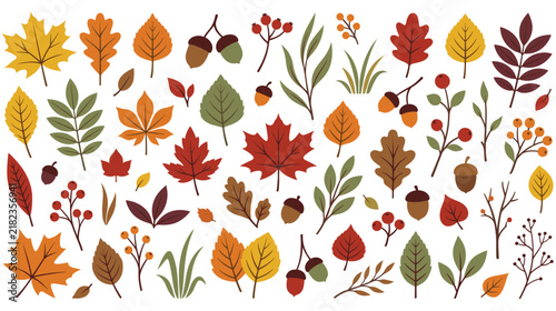 Autumn fall leaves acorns berries branches for seasonal nature decoration design.