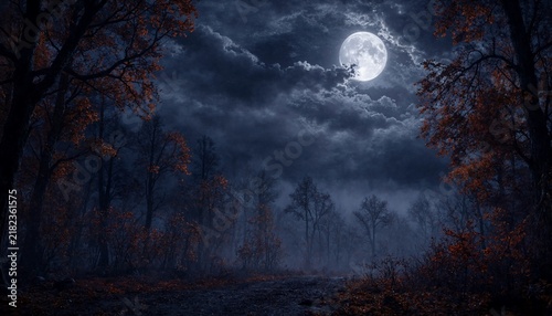 Full moon shining over a dark mysterious autumn forest with misty atmosphere