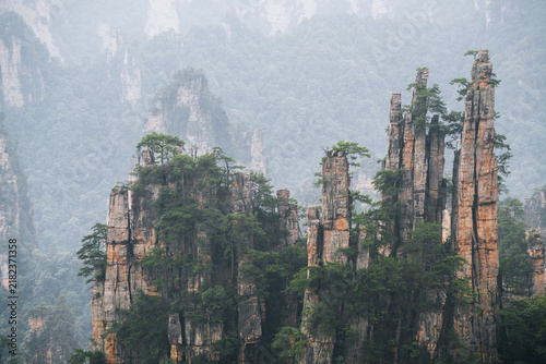 Cuadro en lienzo Towering sandstone pillars emerge from mountain mist at Zhangjiajie National For