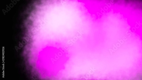 Bright magenta and white fluid pigment blooming against a dark background