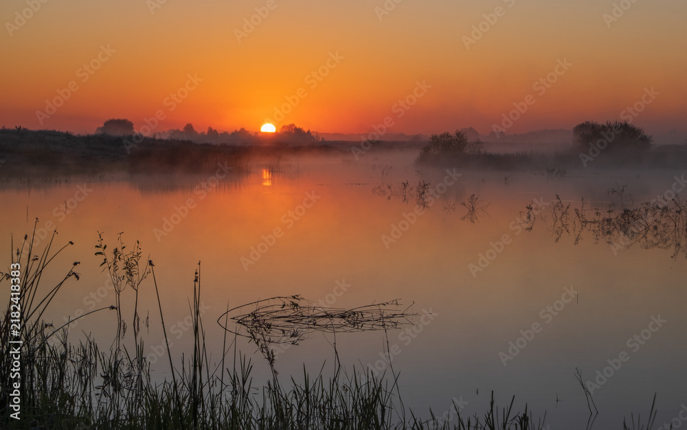 Fototapeta premium A breathtaking sunrise casts a vibrant orange glow over a misty, tranquil river lined with silhouettes of wild riverside grass
