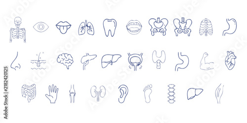 Принти на полотні Anatomical icons depicting human body parts in a linear style