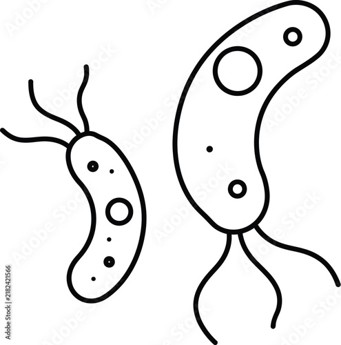 Two abstract microorganisms or bacteria cells illustrated as simple line drawings with bacteria microorganism organism