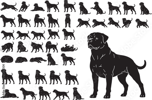 Rottweiler Dog Silhouette Set Premium Purebred Black Vector Icons Collection