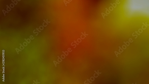 An abstract background photograph of naturally growing flowers along a fence is a common sight, featuring a gradient of red, green, and light brown blurred colors, often seen during July and August in