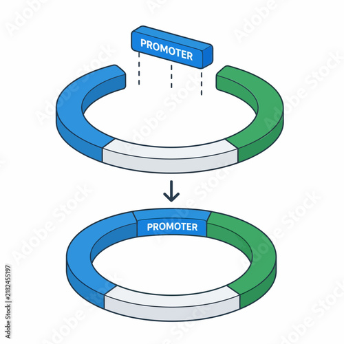 DNA Plasmid Vector Promoter Insertion Diagram